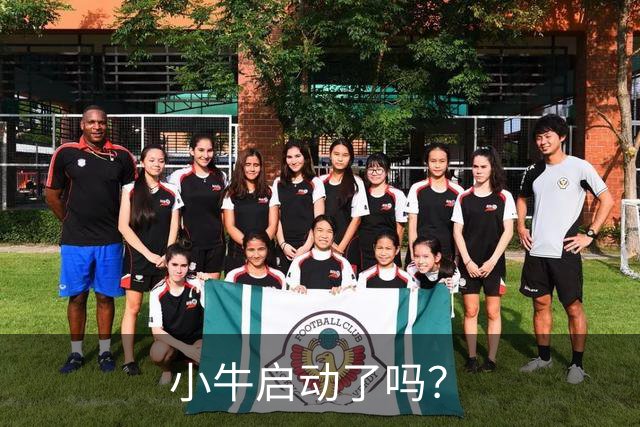 小牛启动了吗？